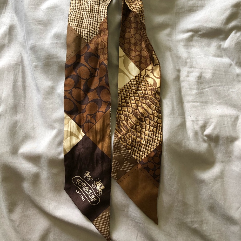 Coach Head tie